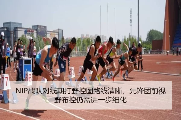 NIP战队对线期打野控图路线清晰，先锋团前视野布控仍需进一步细化